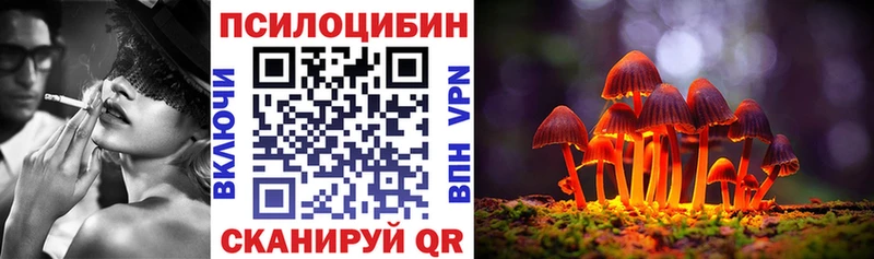 где можно купить   Змеиногорск  Псилоцибиновые грибы Psilocybine cubensis 